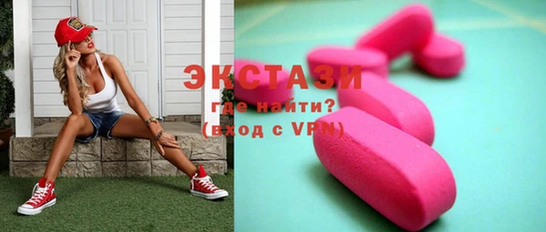 дживик Богородицк