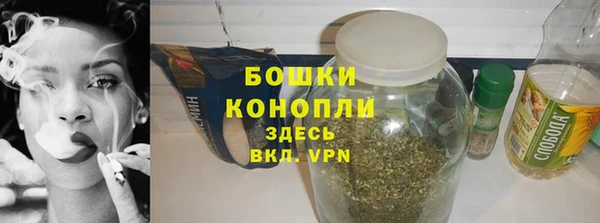 дживик Богородицк