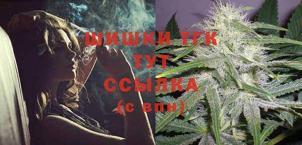PSILOCYBIN Богородск
