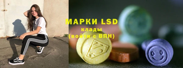 дживик Богородицк