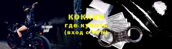 дживик Богородицк