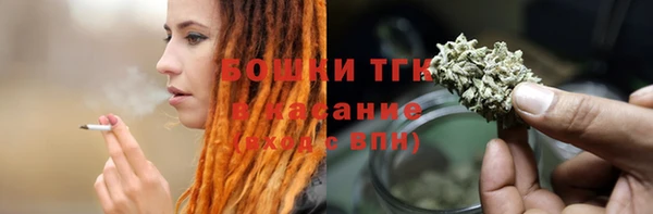 PSILOCYBIN Богородск