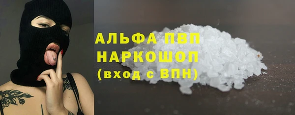 твердый Богданович