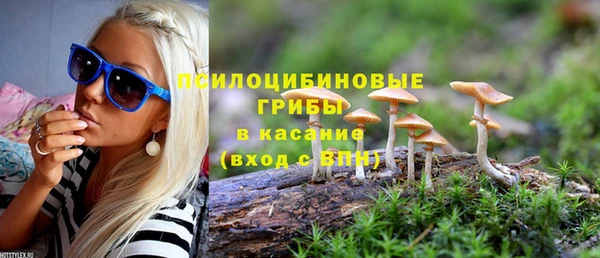 PSILOCYBIN Богородск
