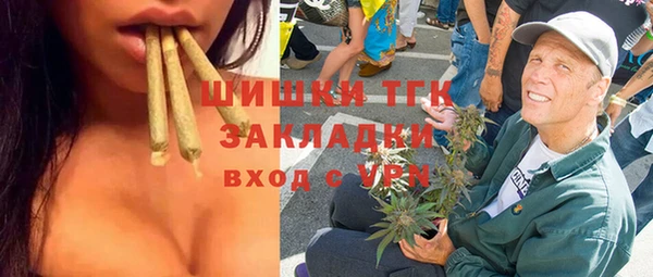 твердый Богданович