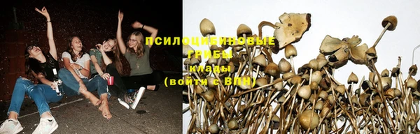 дживик Богородицк