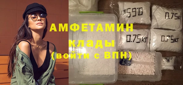 дживик Богородицк